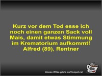 Kurz vor dem Tod esse ich noch einen ganzen Sack voll Mais