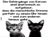 weiter