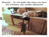 Fiese Katerkom�die in der K�che!