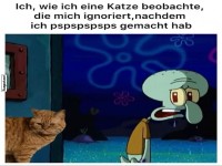 Katzen: Meister der Ignoranz