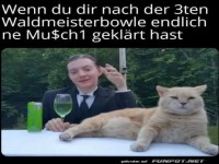 Luxusleben: Waldmeister & Chill mit der Katze