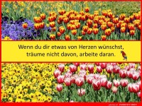 Wenn du dir etwas w�nschst