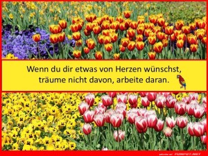 herz-Bild: Wenn du dir etwas w&uuml;nschst