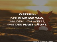 Wenn der Osterhase den Strand unsicher macht!