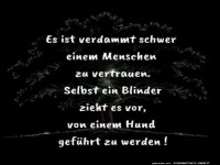 Warum Blinde Hunde bevorzugen