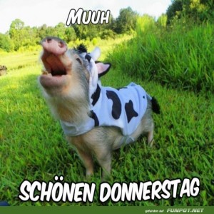 Schönen-Donnerstag.jpg von Gabriel