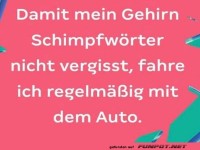 Das macht Sinn