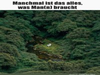 Der einsame Wanderer im Gr�nen