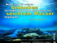 seichtem Wasser