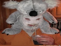 This-man-in-this-koala-mask
