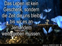 Das Leben ist kein Geschenk