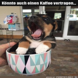 Begrüßungsbild