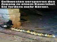 Mehr Körner sind gefordert