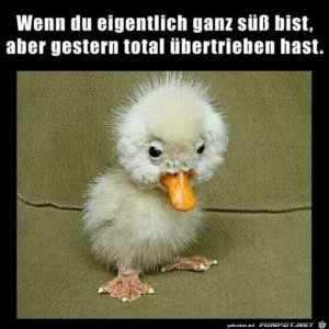 wenn-du.jpg auf www.funpot.net