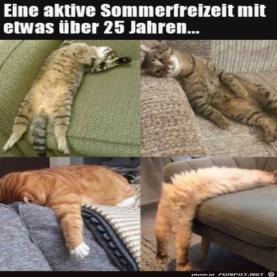 Sehr-aktive-Sommerfreizeit.jpg von SWolle
