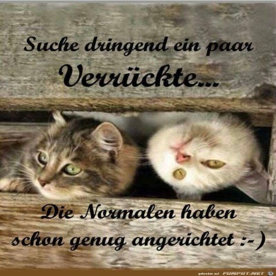 suche-dringend-ein-paar-Verr&uuml;ckte.jpg von Sia