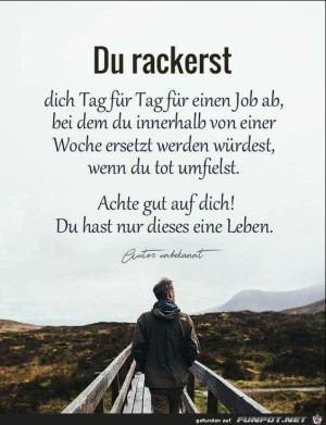 Du-rackerst.jpg auf www.funpot.net