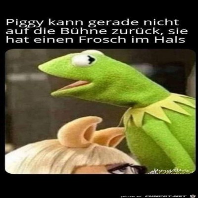 Frosch-im-Hals.jpg von Tilo