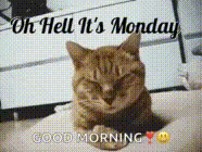 Hölle, es ist Montag
