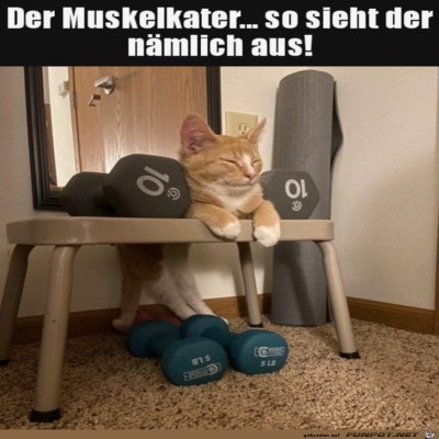 Der-Muskelkater.jpg von Sena