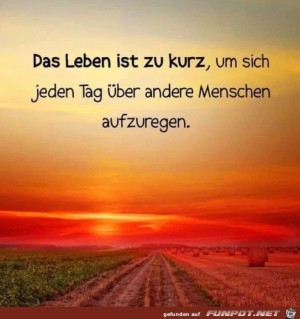 Das-Leben-ist-zu-kurz.jpg auf www.funpot.net