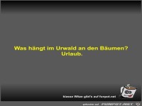 Was hängt im Urwald an den Bäumen?