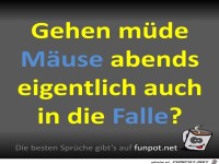 Müde Mäuse