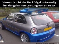 Der Heckfl�gel ist wichtig