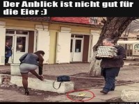 Der Anblick ist nicht gut f�r die Eier