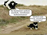Verr�cktes Eutertier