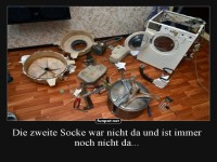 Zerlegte Waschmaschine auf der Suche nach Socken