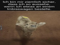 Niedliches Tier mit lustigem Gesichtsausdruck