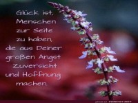 Blumenpsychologe im Einsatz