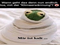 Kermit wartet auf die globale Erw�rmung ??