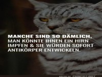 Katzenlogik: Impfstoff f�r Dummheit!