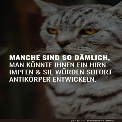 Katzenlogik:-Impfstoff-f&uuml;r-Dummheit!.jpg von Clarissa