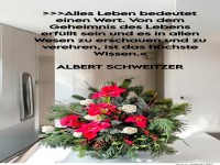 alles leben bedeutet