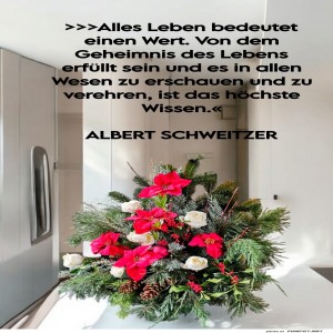 alles-leben-bedeutet.jpg von Fabioma