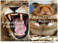 Facebook-L�we trifft Realit�tshamster!