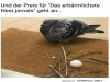 weiter