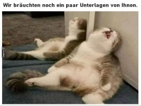 Wenn der Arbeitstag zu lang war