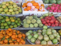 fuer Bildgenerator freigegeben 001840