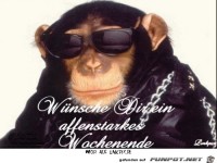 affenstarkes WE