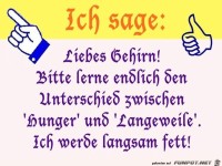 liebes gehirn bitte denk doch auch mal nach ich werde immer 