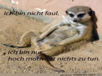 ich bin nicht faul......
