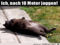 Joggen geht gar nicht
