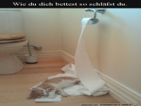 K�tzchen liegt weich