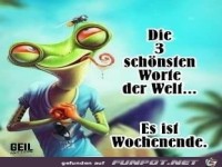 Die 3 sch�nsten Worte der Welt