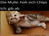 Faul sein ist sch�n
