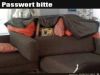 Kein Eintritt ohne Passwort